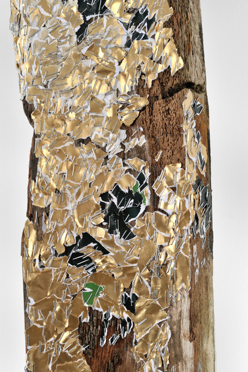 IsabelleFerreira_Odin(bois-de-Valognes)-detail_2015_©RebeccaFanuele